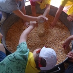Miodowi Skauci- dzieci napełniają kukurydzą butelkę