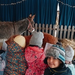 Z wizytą u świętego Mikołaja - chłopiec przy zagrodzie ze zwierzętami