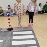 Spotkanie ze Strażą Miejską - Autochodzik