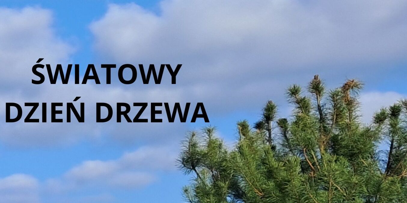 ŚWIATOWY DZIEŃ DRZEWA.jpg