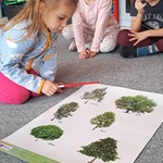 Światowy Dzień Drzewa - dziewczynka na dywanie