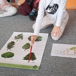 Światowy Dzień Drzewa - dziewczynka na dywanie