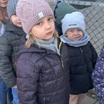 Tygryski i Żabki na spacerze