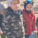 Tygryski i Żabki na spacerze