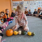 Dzień Dyni w grupie Tygryski- dziewczynka porównuje wielkość dyń