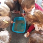 Projekt edukacyjny 