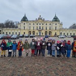 W Muzeum Medycyny i Farmacji- Tygryski przed Pałacem Branickich