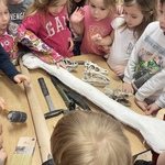 Warsztaty paleonotologiczne - Słoneczka oglądają narzędzia pracy paleontologa