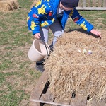 Majątek Howieny - chłopiec zbiera ukryte jajka do wiaderka