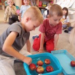 Dzień Jabłka- zabawy ruchowe w grupie Pszczółki