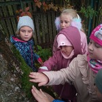Dzień drzewa- dzieci dotykają pnia drzewa na placu zabaw