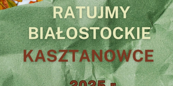 kasztanowce zdjęcię.jpg