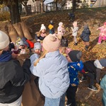 Ratujmy białostockie kasztanowce - Tygryski sprzątają liście
