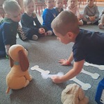 Dzień Kundelka - zabawa matematyczna w Tygryskach