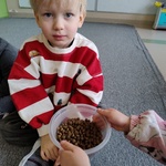 Dzień Kota- dziecko z karma dla kota