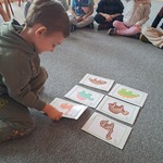 W świecie dinozaurów- chłopiec w zabawie memory