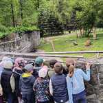 Pszczółki poznają mieszkańców Akcent ZOO - dzieci przy wybiegu niedźwiedzia