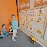 Dzień Pszczoły - chłopiec wskazuje pszczołę zgodnie z opisem