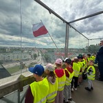 Pszczółki poznają zwód organisty - dzieci na tarasie widokowym