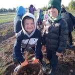 Przedszkolaki na wykopkach w Pacowej Chacie- dzieci na polu