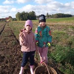 Przedszkolaki na wykopkach w Pacowej Chacie- dzieci na polu