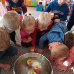 Dzień jabłka w naszym przedszkolu- zabawy badawcze z jabłkiem 