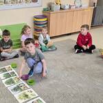 Dzień drzewa- dzieci dopasowują naturalne okazy do obrazka