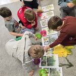 Dzień drzewa- dzieci dopasowują naturalne okazy do obrazka