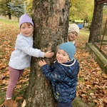 Dzień drzewa- dzieci przytulają się do drzewa