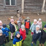 Wycieczka do Alpak z Różanej Zagrody - Tygryski obserwują kury