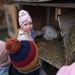 Wycieczka do Alpak z Różanej Zagrody - dziewczynka głaszcze królika