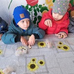 Wycieczka do Alpak z Różanej Zagrody - dzieci tworzą pamiątkowy magnes