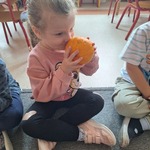 Dzień Dyni w grupie Tygryski- dziewczynka wącha  dynie 